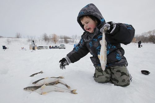 March 9, 2014 - 140309  - Four year old Colten Tousiquant checks his catch after a day of ice fishing with his dad and grandfather on the Red River just north of Lockport Sunday, March 9, 2014. Ice fishers must remove their huts by the end of today. John Woods / Winnipeg Free Press