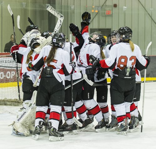 140312 Winnipeg - DAVID LIPNOWSKI / WINNIPEG FREE PRESS - March 12, 2014  at the MTS Iceplex Wednesday afternoon.