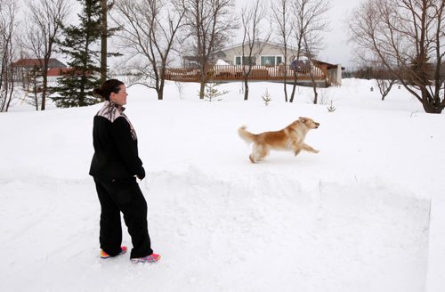 Kristen Nicolson and her dog Jessie -neighbors to home 3 km west of Oakbank Manitoba where 7 year old girl was mauled by two dogs Sunday( Home where attack took place in rear)  Nicolson said the two dogs quite regularly walked into her yard and interacted with her children without incident-   See Bill Redekop  story- Mar 17, 2014   (JOE BRYKSA / WINNIPEG FREE PRESS)