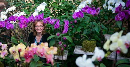 Surrounded by a display of orchids is Wendy Chaytor, Second Vice-President of the Manitoba Orchid Society and organizer of the Orchid Show. The show runs March 21-23 at the Assiniboine Park Conservatory. (For Doug weather column Saturday) 140321 - Friday, {month name} 21, 2014 - (Melissa Tait / Winnipeg Free Press)