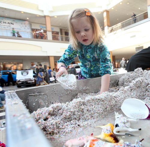 Three and a half year old Iyla Szarek plays in a  stream table which combines tiny granules of sand like material with water to teach children the dynamics of water at The Freshwater Interactive display at  Polo Park Saturday. Water conservation events were happening all over the province today for World Water Day.  Standup photo . March 22, 2014 Ruth Bonneville / Winnipeg Free Press