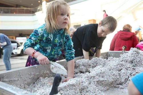 Three and a half year old Iyla Szarek plays in a  stream table which combines tiny granules of sand like material with water to teach children the dynamics of water at The Freshwater Interactive display at  Polo Park Saturday. Water conservation events were happening all over the province today for World Water Day. (Kid in rear wearing black shirt is Oscar Belanger - 7 yrs)  Standup photo . March 22, 2014 Ruth Bonneville / Winnipeg Free Press