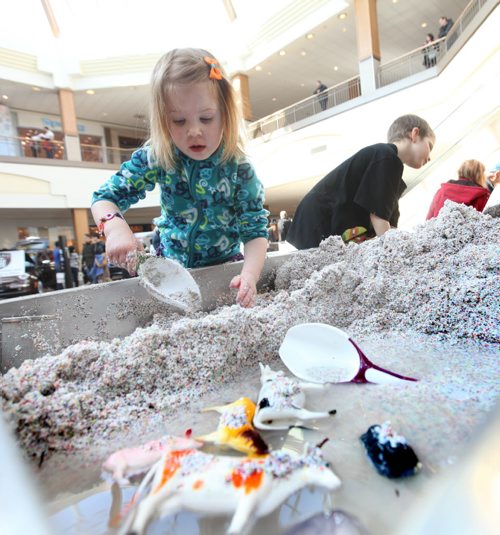 Three and a half year old Iyla Szarek plays in a  stream table which combines tiny granules of sand like material with water to teach children the dynamics of water at The Freshwater Interactive display at  Polo Park Saturday. Water conservation events were happening all over the province today for World Water Day. (Kid in rear wearing black shirt is Oscar Belanger - 7 yrs)  Standup photo . March 22, 2014 Ruth Bonneville / Winnipeg Free Press