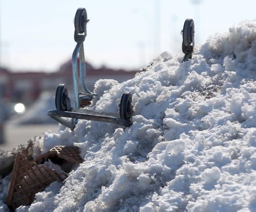 Victim of Winter- One of many missing shopping carts emerge from melting snow banks at the Walmart shopping complex on West Portage Ave   Standup photo- Mar 24, 2014   (JOE BRYKSA / WINNIPEG FREE PRESS)