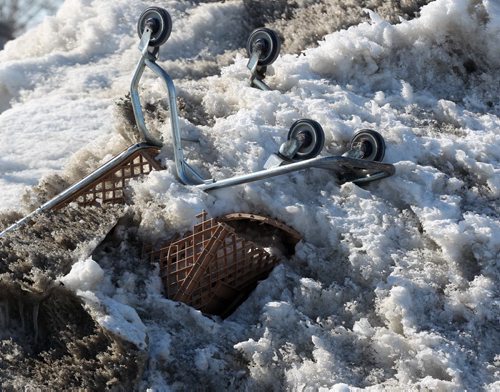 Victim of Winter- One of many missing shopping carts emerge from melting snow banks at the Walmart shopping complex on West Portage Ave   Standup photo- Mar 24, 2014   (JOE BRYKSA / WINNIPEG FREE PRESS)
