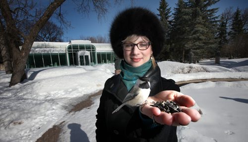Lara Ciekiewicz lures a Nuthatch into a handfull of sunflower seeds at the Leo Mol Sculpture Garden Friday. See "Our Winnipeg"  March 28, 2014 - (Phil Hossack / Winnipeg Free Press)