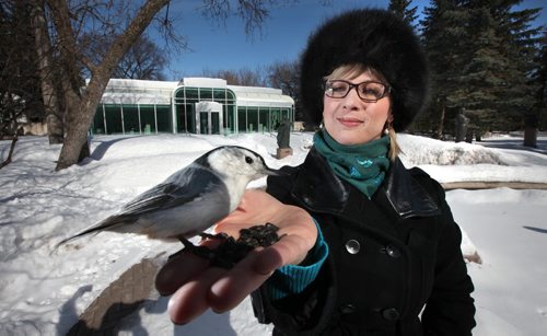 Lara Ciekiewicz lures a Nuthatch into a handfull of sunflower seeds at the Leo Mol Sculpture Garden Friday. See "Our Winnipeg"  March 28, 2014 - (Phil Hossack / Winnipeg Free Press)