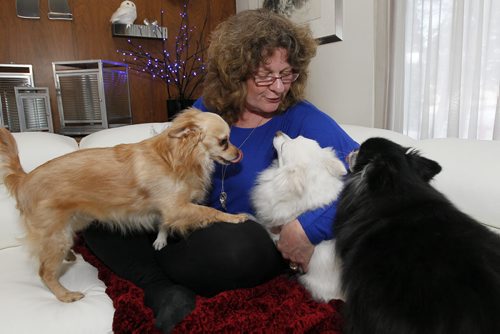 April 4, 2014 - 140404  -  Anne Papadopoulos, a pet-loss counsellor, is photographed in her home with (L to R) Danny, Misha and Nikki Friday, April 4, 2014. John Woods / Winnipeg Free Press  Re: Doug story