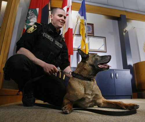 Winnipeg Police Service Dog Judge is retiring from the force on Thursday, Winnipeg Police Service Canine Unit Patrol Sgt. Scott Taylor and the dog have been working together doing police work for 10 years. The pair have made over 500 tracking arrests and apprehensions, possibly the most successful canine team in the units history. Judge has sired  41 pups in four litters, currently six pups are working on the streets of Winnipeg with many more working in various police agencies across Canada and the United States. While Judge will enjoy retirement living with Taylors at their residence,  Scott Taylor will continue his career with the WPS in investigations.  Intern Danielle story. Wayne Glowacki / Winnipeg Free Press April 15   2014