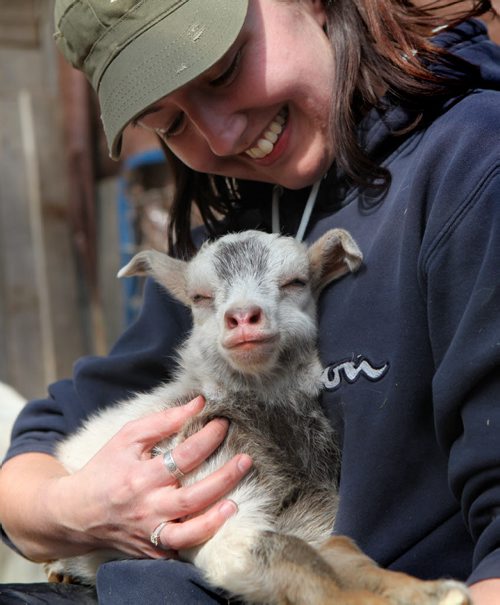 Erica Evans nuzzles up close to  two week old Benji, a Toggenberg cross goat from Aurora Farm (no s on Farm) during a training session to raise goats Tuesday.  April 15, 2014 Ruth Bonneville / Winnipeg Free Press
