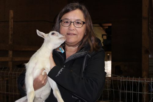 065, 066, 087 - Goat shots with owner Diane Rourke of Oak Island Acres Dairy Farm near Minto. BILL REDEKOP/WINNIPEG FREE PRESS April 14, 2014