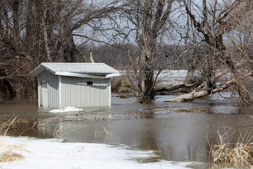 A shed is half immersed in water along the banks of the Red River in Maple Grove Park just of St. Mary's Rd. Saturday. April 19, 2014 Ruth Bonneville / Winnipeg Free Press
