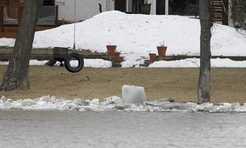 A tire swing near the swollen Red River in the back yard of a home on Kingston Row, Saturday, April 19, 2014. (TREVOR HAGAN/WINNIPEG FREE PRESS)