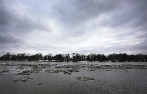 Chunks of ice floating along the swollen Red River between Churchill Drive and Kingston Row, Saturday, April 19, 2014. (TREVOR HAGAN/WINNIPEG FREE PRESS)