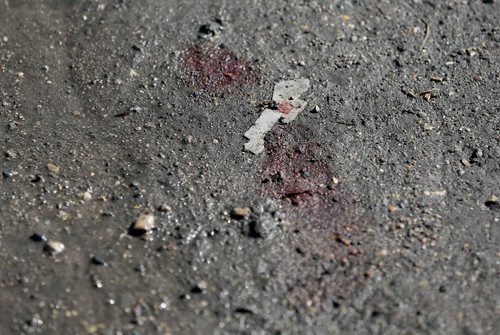 Blood at the scene in an alley between Dufferin and Stella after a 17 year-old was killed and an 18 year-old seriously wounded in an incident last night, Sunday, April 20, 2014. (TREVOR HAGAN/WINNIPEG FREE PRESS)