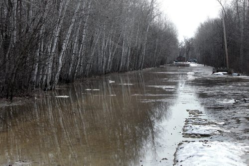 Flooded driveway to a home off Whitetail Trail Wednesday morning in the Petersfield, Mb. area from water from Netley Creek.  Wayne Glowacki / Winnipeg Free Press April 23   2014