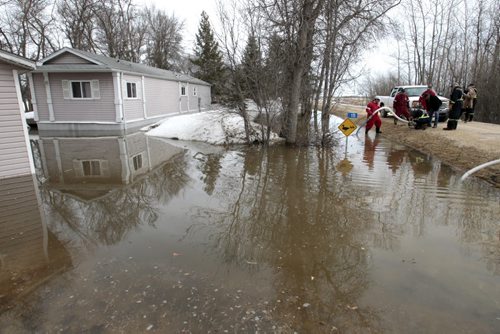 Water is pumped out from a property on Patricia Dr. along Netley Creek Wednesday. (This was one of four properties that frequently gather water in the spring time.) There is no water damage to any of the homes. Wayne Glowacki / Winnipeg Free Press April 23   2014