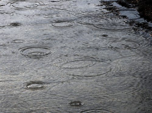 PICTURE PAGE : Rain stdups for picture page :  rain falls on  sidwalk   Monday . APRIL 28 2014 / KEN GIGLIOTTI / WINNIPEG FREE PRESS
