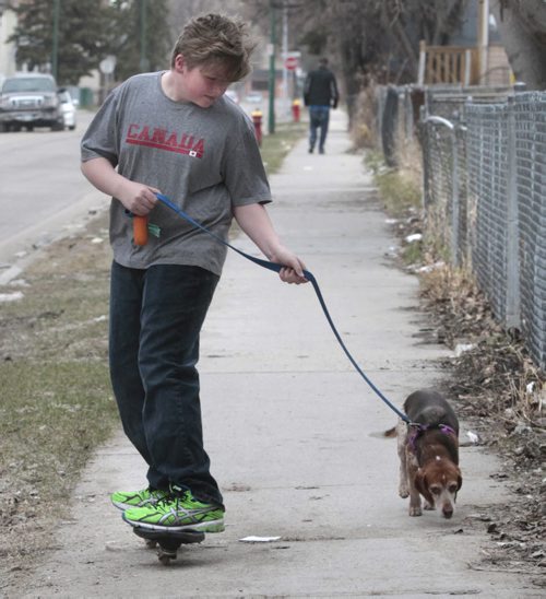 Shadrach Unger rides his rip stick while walking his dog Daisy along Young St. Wednesday morning. Wayne Glowacki/Winnipeg Free Press May 7 2014