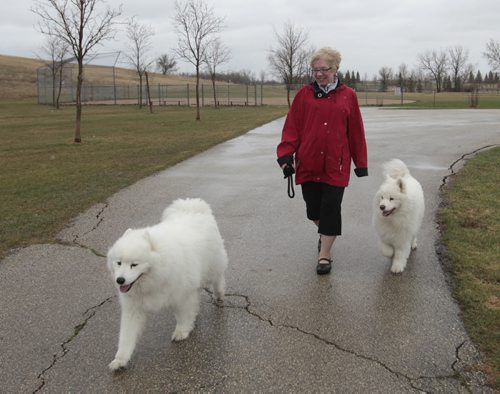Donna Henry, spokeswoman for WINDOG, Winnipeg Network of Dog Owner Groups with her dogs Hudson at left and Terra in the  Kilcona Park Dog Park.Aldo Santin story  Wayne Glowacki / Winnipeg Free Press May 12 2014