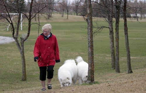 Donna Henry, spokeswoman for WINDOG, Winnipeg Network of Dog Owner Groups with her dog Hudson and Terra in the  Kilcona Park Dog Park.Aldo Santin story  Wayne Glowacki / Winnipeg Free Press May 12 2014