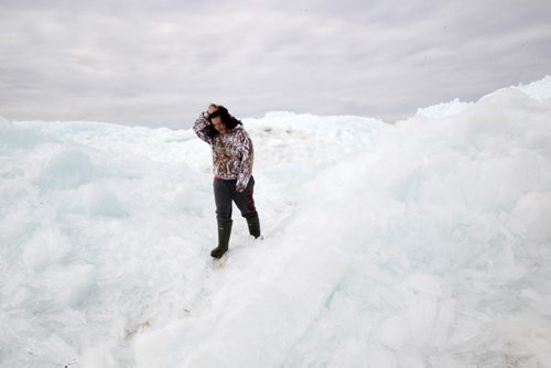 Natures Force-Rayne McKay walks on huge ice floes caused by S/E winds late Sunday that forced Lake Manitoba ice up at Pioneer Beach west of the town of St Laurent, Manitoba to a height of 10 m high in some areas coming within 15 m of some cottages  Conditions seemed to have stabilized as of late as winds have decreased Tuesday- See story- May 13, 2014   (JOE BRYKSA / WINNIPEG FREE PRESS