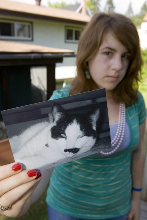 KENORA - Erin Van Breda holds up picture of her five-year-old cat Henry, who was killed by a pack of stray dogs. Tom Thomsom for Winnipeg Free Press