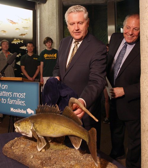 Conservation Minister Gord Mackintosh, left, and Tourism Minister Ron Lemieux unveiled the walleye, plains bison and Big Bluestem grass as the new official symbols of Manitoba at news conference at Fort Whyte Alive Thursday- Bruce Owen story- May 21, 2014   (JOE BRYKSA / WINNIPEG FREE PRESS)