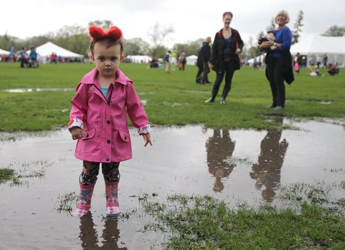 Harlow Woods, 2, sports bear ears while exploring a puddle at the 28th annual Teddy BearsÄô Picnic at Assiniboine Park on Sun., May 25, 2014. The event is a fundraiser for the ChildrenÄôs Hospital Foundation of Manitoba. Photo by Jason Halstead/Winnipeg Free Press