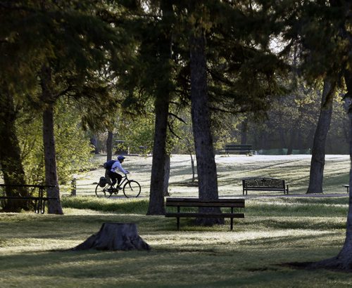 Stdup , A nice way start to the day , as a cyclist rides through Assiniboine , partly sunny  and temps in the +20's today  Park .  May 28  2014 / KEN GIGLIOTTI / WINNIPEG FREE PRESS