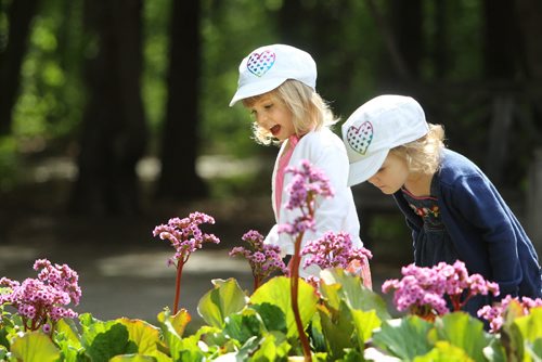 Three year old twins Margaux Hogue (pink) and Hudson (blue) smell the flowers blooming in the English Garden at Assiniboine Park Saturday morning while visiting with their mom. Standup photo. May 31, 2014 Ruth Bonneville / Winnipeg Free Press