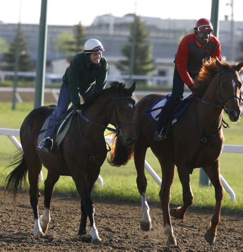 At left, Jennifer Reid on Mr. Magic Please and Omar Walker on Perfect Position at the track at the Assiniboia Downs Wednesday morning. Story by George Williams / Horse Racing freelancer Wayne Glowacki / Winnipeg Free Press June 4 2014