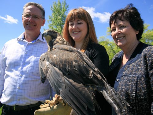 Bryce Lord of TransCanada with Wildlife Haven and Rehabilitation Centre educator Lesley Robertson and Vice-President Judy Robertson with rescued Swainson's Hawk Avro. A new long-term community land lease from TransCanada will give 18 acres of space near TransCanada Station 41 in Ile-des-Chenes to the Wildlife Haven, where Vice-President Judy Robertson hopes to build a permanent home to rehabilitate a larger number of rescued wildlife.  140606 - Friday, June 06, 2014 - (Melissa Tait / Winnipeg Free Press)