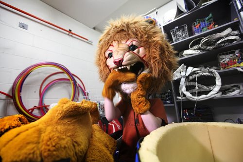 Noah puts on the schools mascot, a lion costume stored in the school gymnasium's equipment room at Glen Lawn Collegiate.  His role as the class clown at Windsor School seems to fit him well at his new school.  Former Windsor School students face new challenges and take on new responsibilities in their first year in grade nine at Glen Lawn Collegiate. See Doug Speirs story.  June 04, 2014 Ruth Bonneville / Winnipeg Free Press