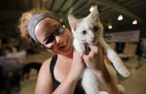Taylor Gyoerick from Kat's Kritters Rescue, holding Lucky, an orphaned cat, at the Pet Expo at the St.Norbert Community Centre, Sunday, June 8, 2014. (TREVOR HAGAN/WINNIPEG FREE PRESS)
