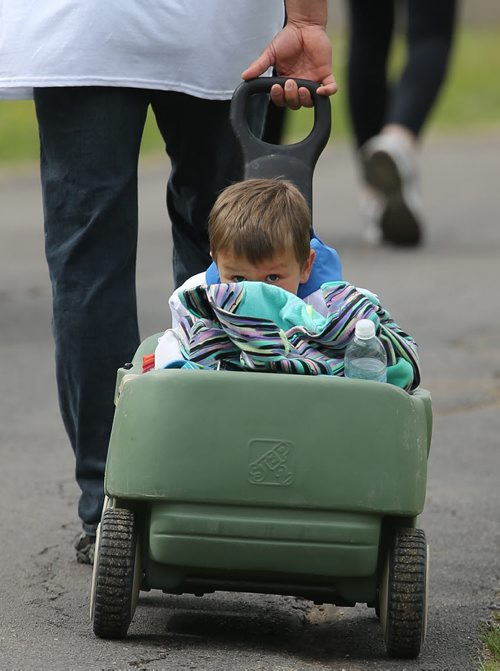 Jack Cesmystruk, 4, rides in a wagon during the Cruising Down the Crescent walkathon raising money for Children with disabilities, Sunday, June 8, 2014. (TREVOR HAGAN/WINNIPEG FREE PRESS)