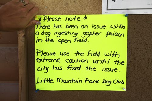 Kristy Greening, president of the Little Mountain Park Dog Club puts up signs in the park warning dog owners  about how the City of Wpg left gopher poison in park which caused a dog to become very ill.  See Ashley Prest story.   June 10, 2014 Ruth Bonneville / Winnipeg Free Press