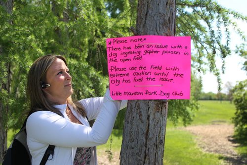 Kristy Greening, president of the Little Mountain Park Dog Club puts up signs in the park warning dog owners  about how the City of Wpg left gopher poison in park which caused a dog to become very ill.  See Ashley Prest story.   June 10, 2014 Ruth Bonneville / Winnipeg Free Press