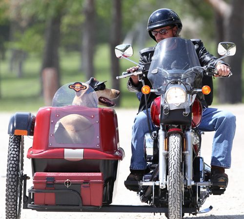 Lets Roll- Ken Cooper made this homemade side-car for his Harley Davidson motorcycle from a dog crate for his dog Dolton. They leave Little Mountain Park after a run Wednesday afternoon-  Standup Photo- June 11, 2014   (JOE BRYKSA / WINNIPEG FREE PRESS)