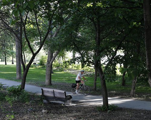 Seize the Day , tomorrow the rain . It was a perfect morning for cycling through the cities parks and urban forests , a cyclist  uses pathway in Stephen Juba Park .  June 13 2014 / KEN GIGLIOTTI / WINNIPEG FREE PRESS
