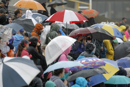 Spectators and supporters with umbrella's during the Manitoba Marathon at the University of Manitoba, Sunday, June 15, 2014. (TREVOR HAGAN/WINNIPEG FREE PRESS)