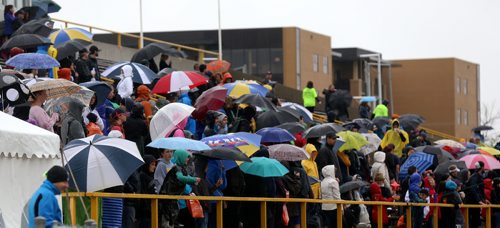 Spectators and supporters with umbrella's during the Manitoba Marathon at the University of Manitoba, Sunday, June 15, 2014. (TREVOR HAGAN/WINNIPEG FREE PRESS)