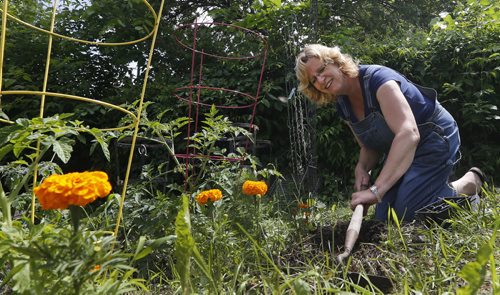 Urban  Farmers Green Page ,starting tomatos , Nancy Blokland grows food , herbs and flowers all over her yard. Story by  Alexandra Paul   June 18 2014 / KEN GIGLIOTTI / WINNIPEG FREE PRESS