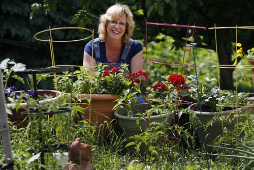 Urban  Farmer Green Page , Nancy Blokland grows food , herbs and flowers all over her yard. Story by  Alexandra Paul   June 18 2014 / KEN GIGLIOTTI / WINNIPEG FREE PRESS