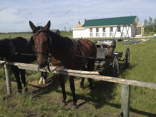 A horse and buggie stand outside a new school being built at an Old Order Mennonite community which had dozens of its children apprehended last year due to allegations of abuse. About half of the children have since returned, and the new school being built this week is seen as a symbol of the community's effort to move forward.