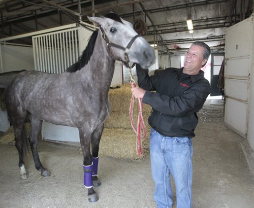 Kirt Contois, track announcer and Jockey agent with Katie  Shimmers in the stables at  Assiniboia Downs Thursday. The trainer of the horse is Jodi Radul.  George Williams story.  Wayne Glowacki / Winnipeg Free Press May 19 2014