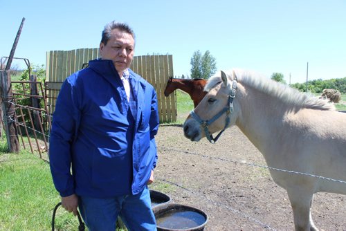 615 - Sioux Valley Chief Vince Tacan with horses on his farm, on Sioux Valley Dakota Nation west of Brandon. BILL REDEKOP/WINNIPEG FREE PRESS June 13,2014