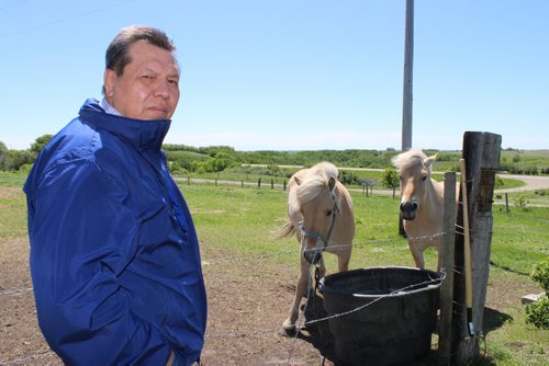 609-  Sioux Valley Chief Vince Tacan with horses on his farm, on Sioux Valley Dakota Nation west of Brandon. BILL REDEKOP/WINNIPEG FREE PRESS June 13,2014