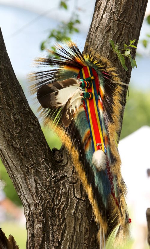 A headers of feathers is hung in a tree  on the  fields at the Forks National Historic site during the Pow Wow during Aboriginal Day Saturday afternoon. Standup photo.  June 21, 2014 Ruth Bonneville / Winnipeg Free Press