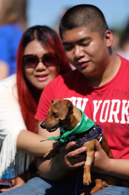 Mariah Malveda and Justin Ison, with their dog, Charlie, at the Paws in Motion event at Assiniboine Park, Sunday, June 22, 2014. (TREVOR HAGAN/WINNIPEG FREE PRESS)